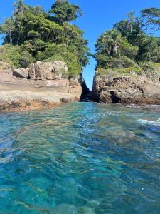 Passeios de Lancha em Ubatuba - New Mar Turismo