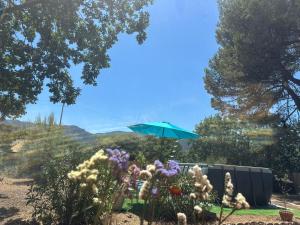 Maisons de vacances La maison aux oiseaux - Luberon : photos des chambres
