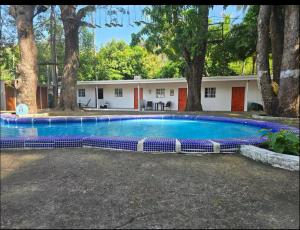 Ola verde Sunzal apt