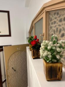 Appartement neuf bien situé