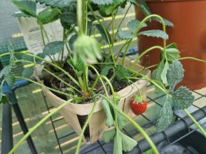 Logement indépendant avec jacuzzi au calme