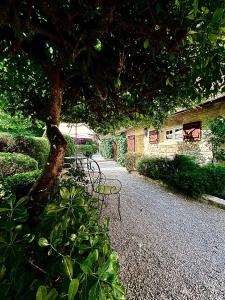 B&B / Chambres d'hotes Moulin du soustre : photos des chambres