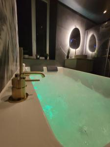 Love hotels Evasion Sauvage Love Room : photos des chambres