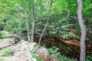 PineHaus - Brand New Log Cabin at Harvard Brook