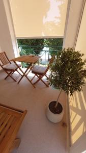 Studio apartma Plaža 