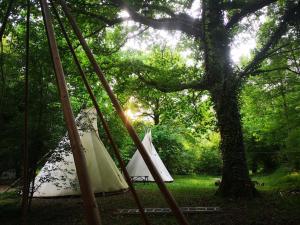 Tentes de luxe grand tipi traditionnel pour 2 a 5 personnes : photos des chambres