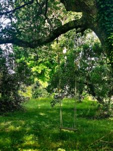 Maison confortable 6 pers Lac Sanguinet