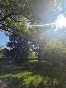 Maisons de vacances Maison confortable 6 pers Lac Sanguinet : photos des chambres