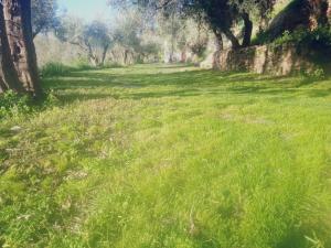 Casa grande con campo barbacoa y piscina privada