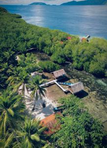 Walking Shark Guest House