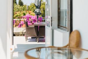 Apartment Salaj