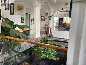 Monarchy Pearl Residence Luxury