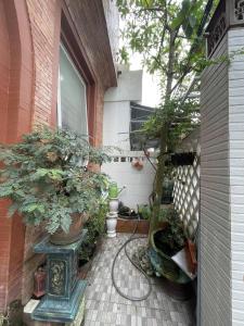 Ocean Scent Stay - Mường Thanh Area