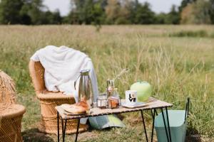 B&B / Chambres d'hotes Les Aires en Scenes au bord de l'eau : Suite avec Jacuzzi
