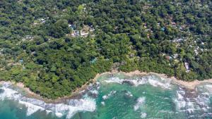 Aloki Tsalu 1 Tu refugio entre la selva y el mar