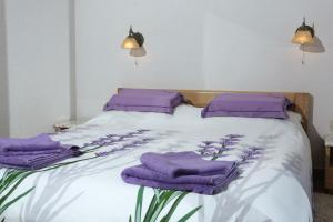 Rooms Figarola