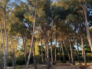 Joli mas bohème 60 m carré a seulement une minute à pied de la plage 4 personnes