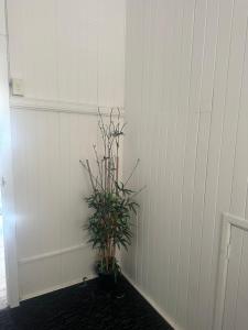 Melbourne Street, South Brisbane