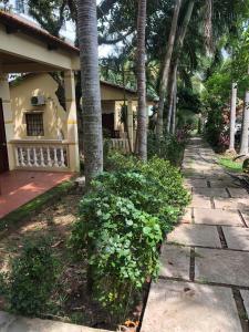 Coco Chill PQ Bungalow