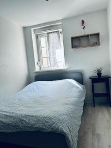 Appartements Petit coin tranquille a 2 pas de strasbourg : photos des chambres