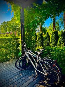 Luxurious golden dune apartment by the sea