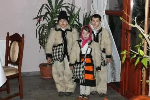 Pensiunea Crinul Alb - 卡夫尼克