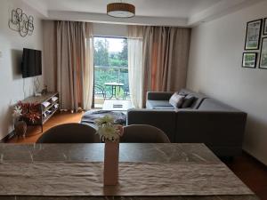 Luxurious two bedroom apartment at the Alma