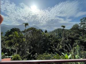 Jyothis Homestay Munnar