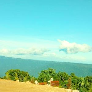 Perfect View Homestay