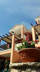 Asterida Lefkada Greece