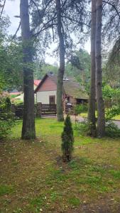 Jaukūs namai Kulautuvoje