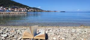 Sea and olive apartment