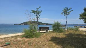 Sea and olive apartment