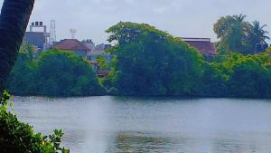 Lotus Vibe Resort