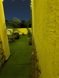 Tropical vibes Private, Terrace, Cozy space- Gurgaon and NCR