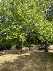 Maisons de vacances Maison familiale a Fresselines, jardin, riviere : photos des chambres