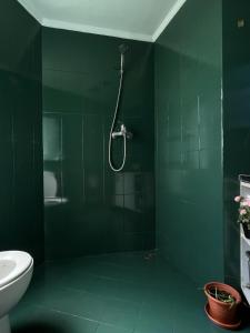 Cozykeyz 2BHK apartment with balconies near swayambhu