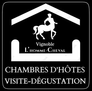 B&B / Chambres d'hotes La Residence du Vignoble L-Homme Cheval : photos des chambres