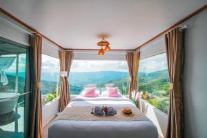 ชิวชิวแคมป์ ภูชี้ฟ้า