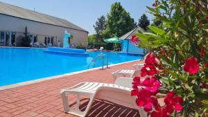 Oázis Wellness Panzio