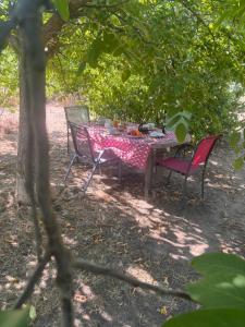 Sejours chez l'habitant Chambre d hotes en Provence, au pied du Luberon, les Coquelicots : photos des chambres