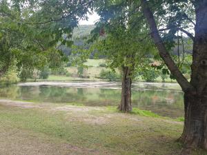 La Maison de Léonie