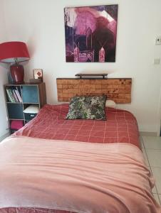 House with a saltwater pool