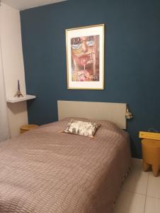 House with a saltwater pool