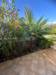 Appartements Magnifique 2P a IGNY proche Saclay, Massy, Versailles, Paris : photos des chambres