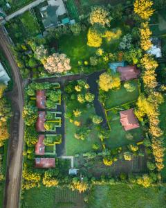 Solio Gardens Nanyuki