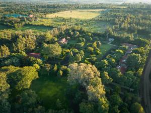 Solio Gardens Nanyuki