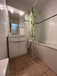 Appartement 6 couchages proche des pistes et commerces