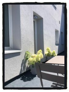 Maisons de vacances Les HORTENSIAS : photos des chambres