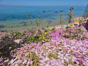 Casa 2 Spighia vista campagna vicino al mare